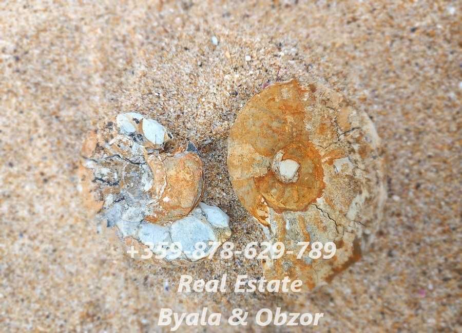 Двустаен апартамент в новострояща се сграда в гр.Бяла