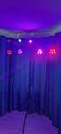 Schela de lumini tip T , moving head lixada lasere lumini disco
