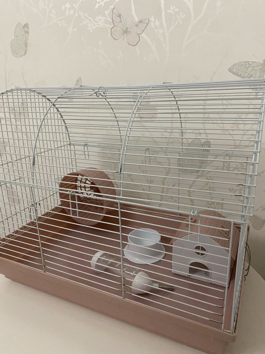 Большая клетка с набором