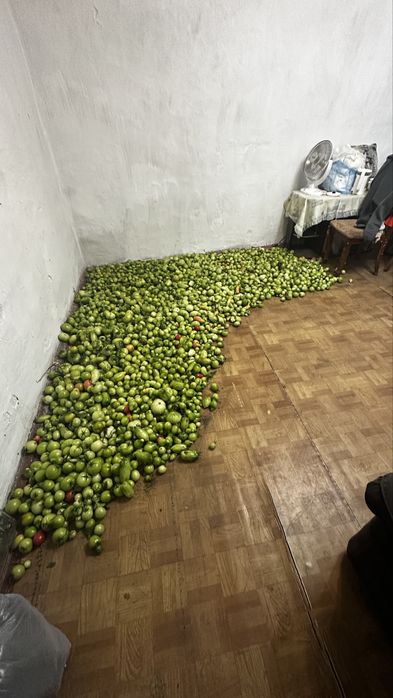 Домашние помидоры 500тг за 1кг.