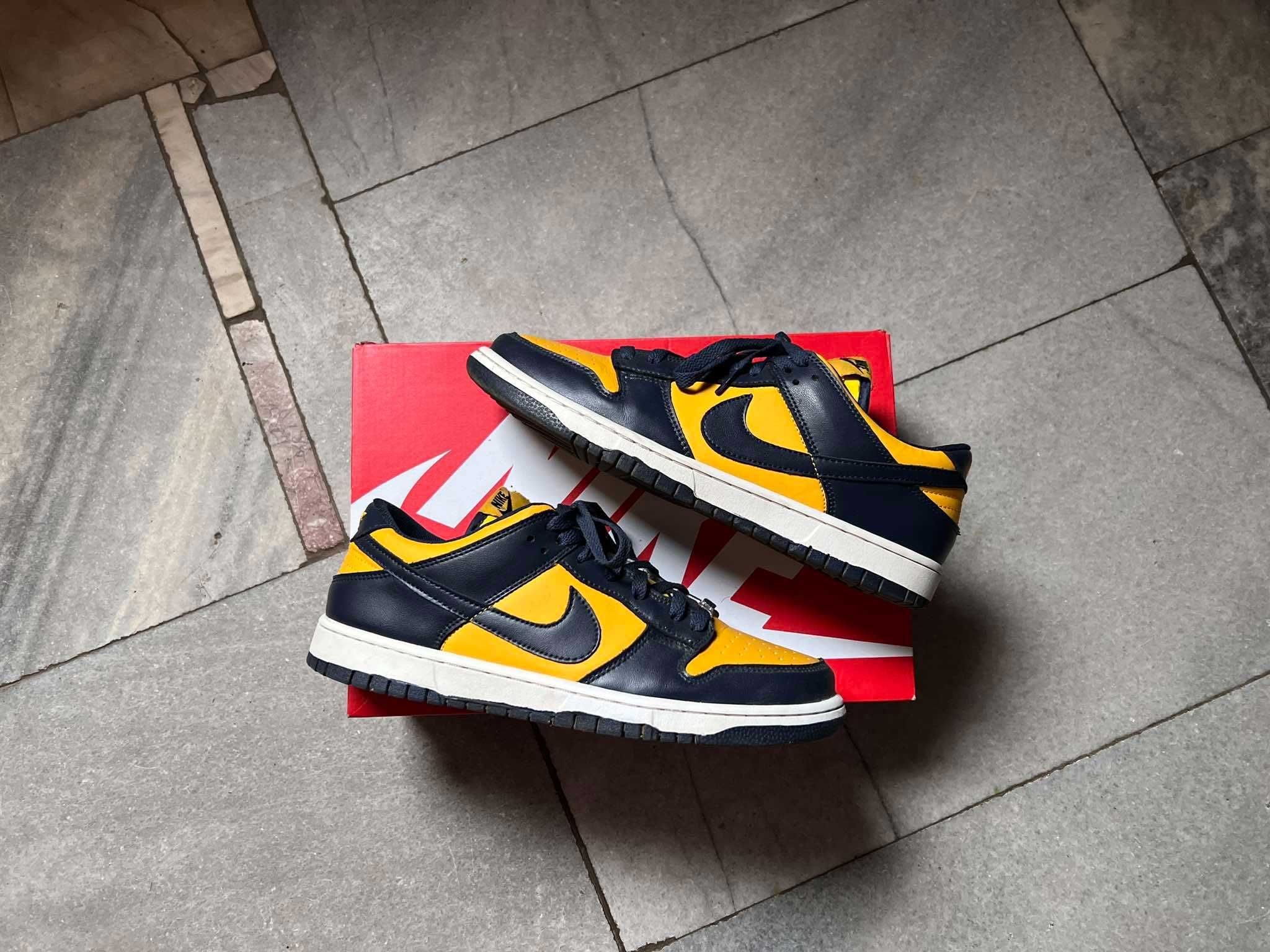 Nike Dunk Low Michigan 45