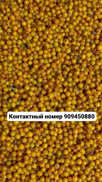 Облепиха замороженная