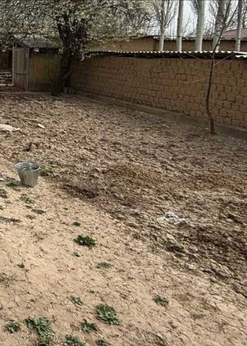 Uy hovli sotiladi 4.2 sotix