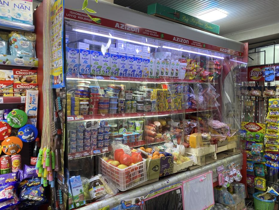 Xoladelnik ishlab turgan