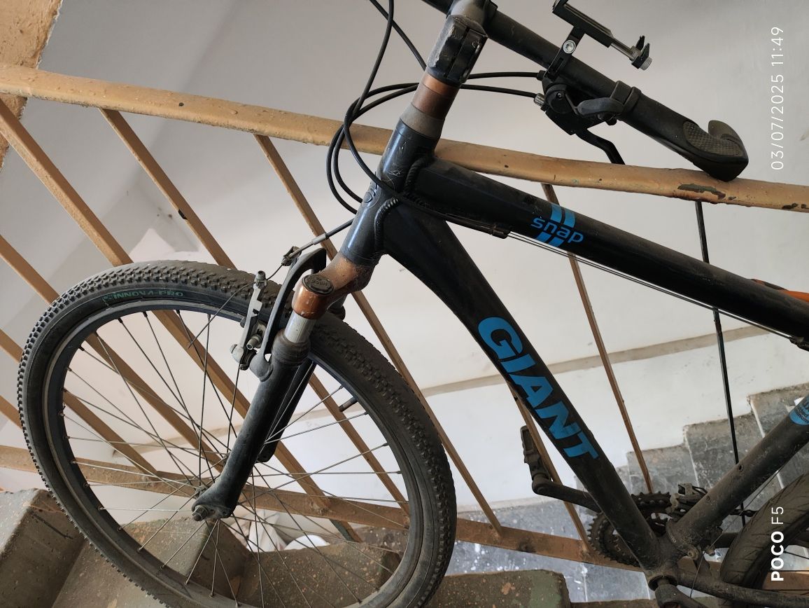 Velosiped arzon narxda