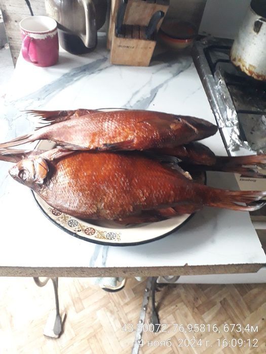 Капчености рыба, сало
