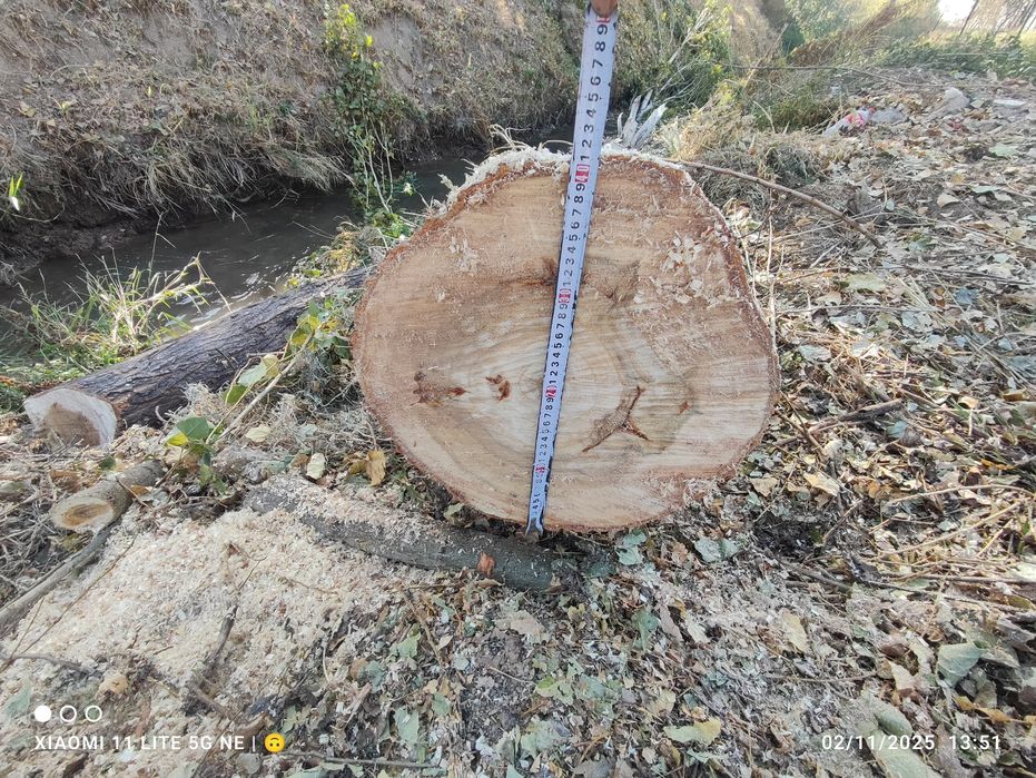 Tere sotiladi keliwtrib bervoramz 5 m dan uzunligi