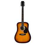 Chitara Acustica Parrot DG100-TS