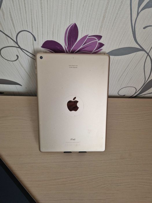 Ecran Ipad A1822 ( 5TH )