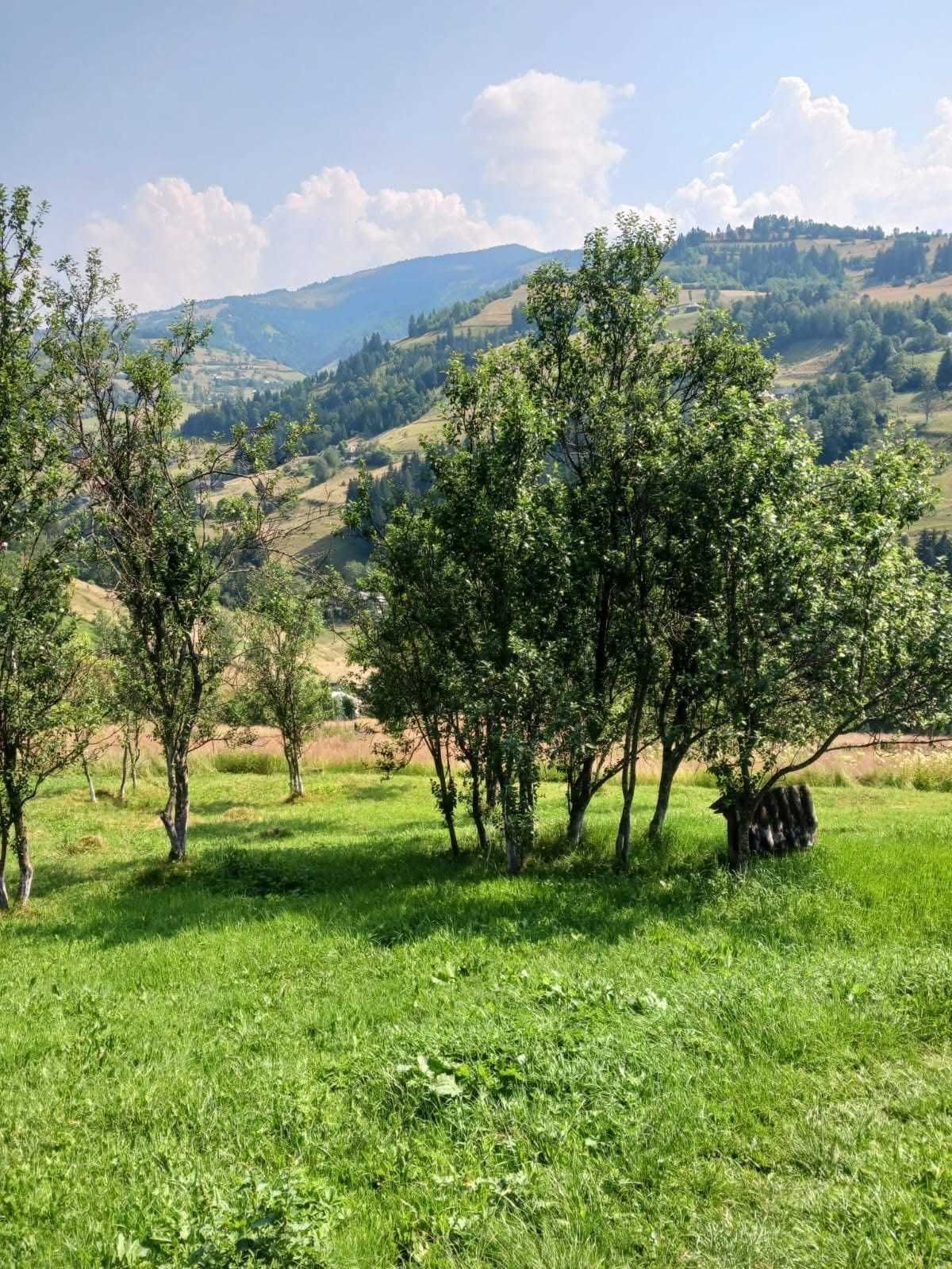 Casa de vacanta Muntii Apuseni