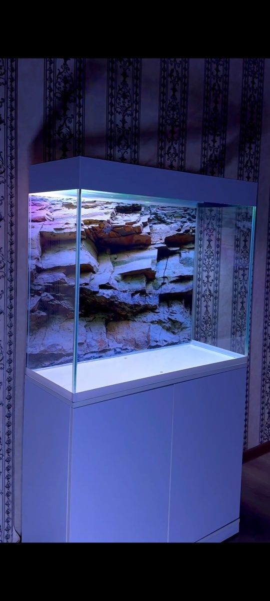 Yengi Akvarium sotiladi аквариум akvarin
