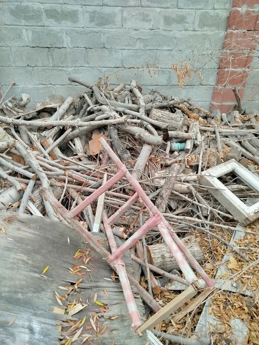 Утин Сотилади,,Меваники,,Тол. Дарахт ники