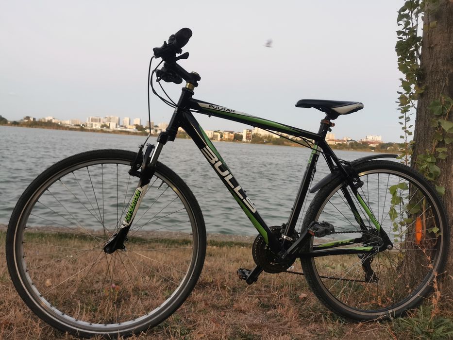 Bulls Pulsar Germania