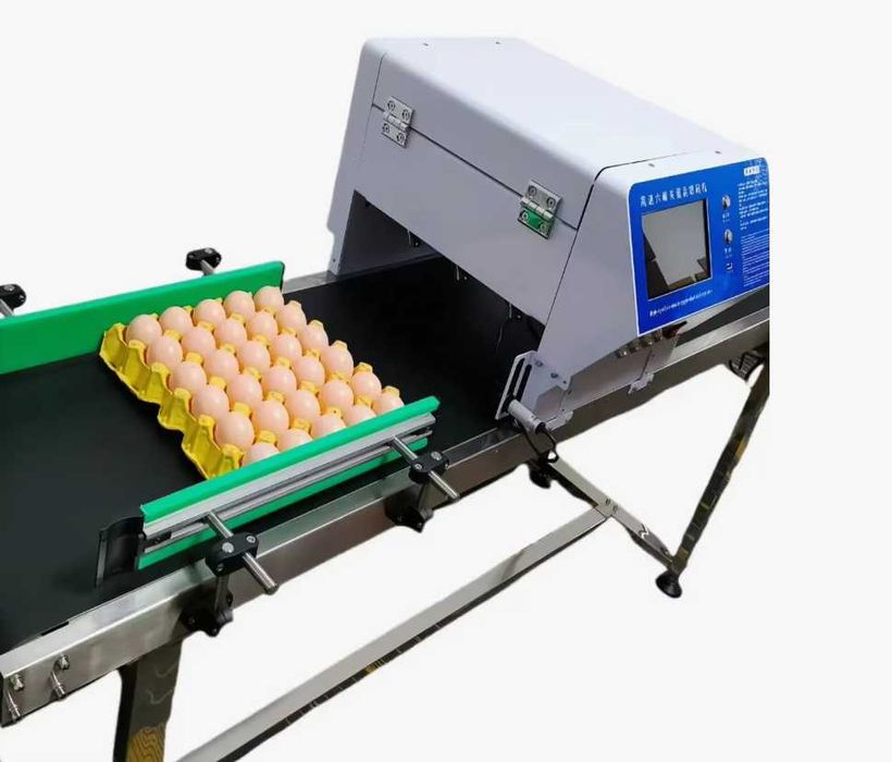 Markirator tuxum uchun Маркиратор датер для яиц яйцо принтер линия