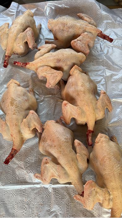 Продам мясо домашней индейки выращенная в домашних условиях