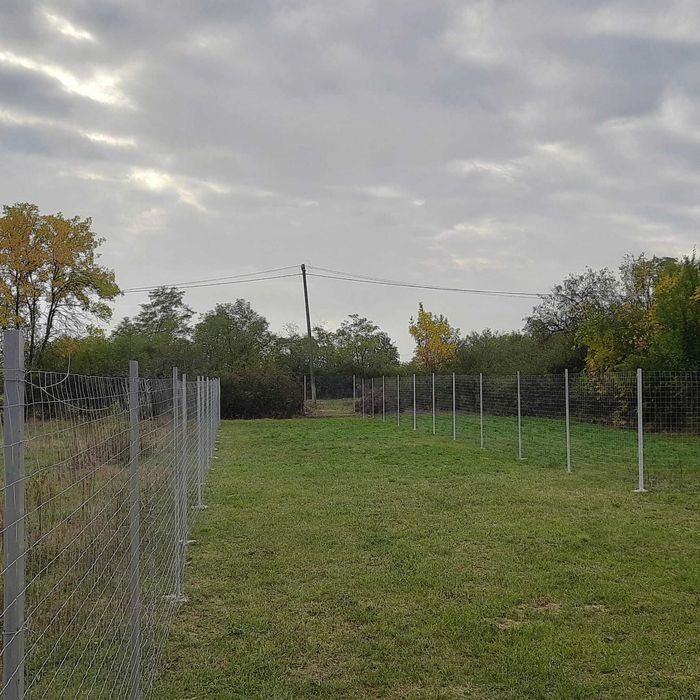 Teren intravilan 1000 m2 într-o comună din jud. Timiș