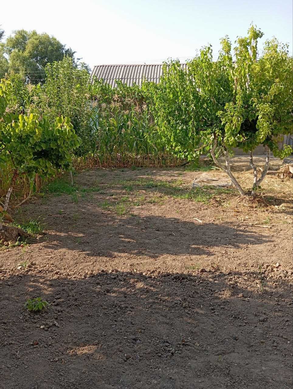 Продаётся дом: Келес, Сарке, М 1, улица Дустлик, 6 соток, 3 комнаты