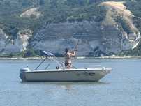 Vand ansamblu Barca,motor si peridoc