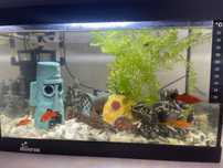 Vand acvariu Diversa 25 litri