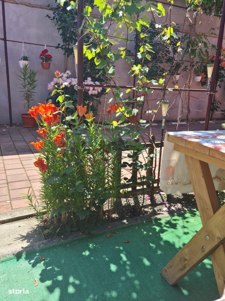 Casă cocheta de vanzare - Prejmer