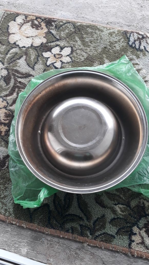 Миска для собак, наш адрес Сайрам центр
