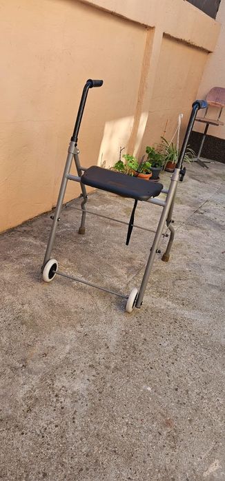 Cadru batrani cu scaun putin folosit