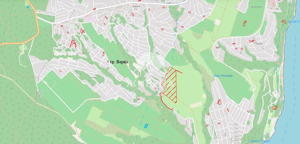 Парцел / лозе в м-т Боровец /Кантара/ Гергин чешма, площ 2925 кв.м