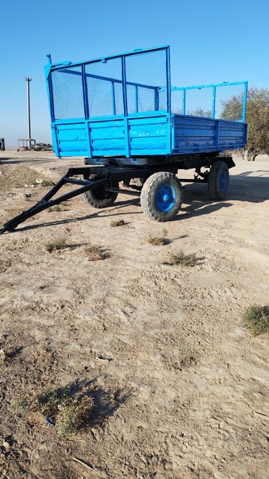 Tilichka yil 2010 xolati yaxshi