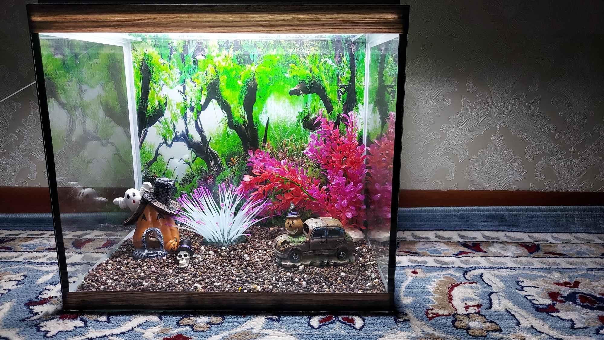 Готовые аквариумы на подарок
