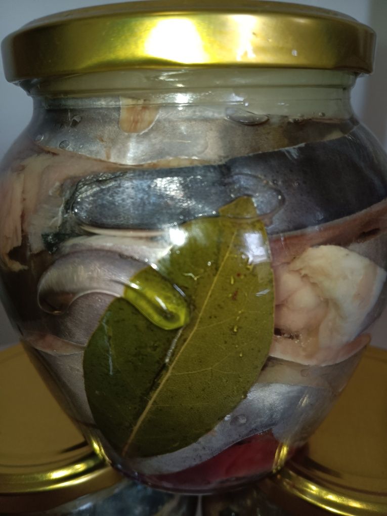 Мариновани паламуд