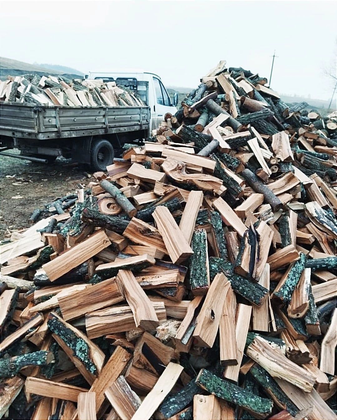Дрова карагач сухой колоты готовы газель доставка