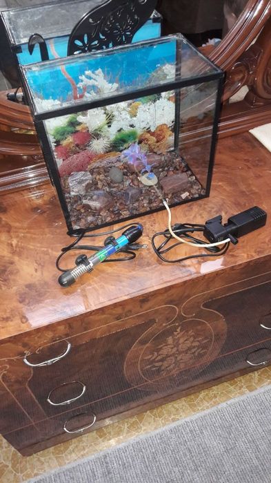 Продам аквариумы