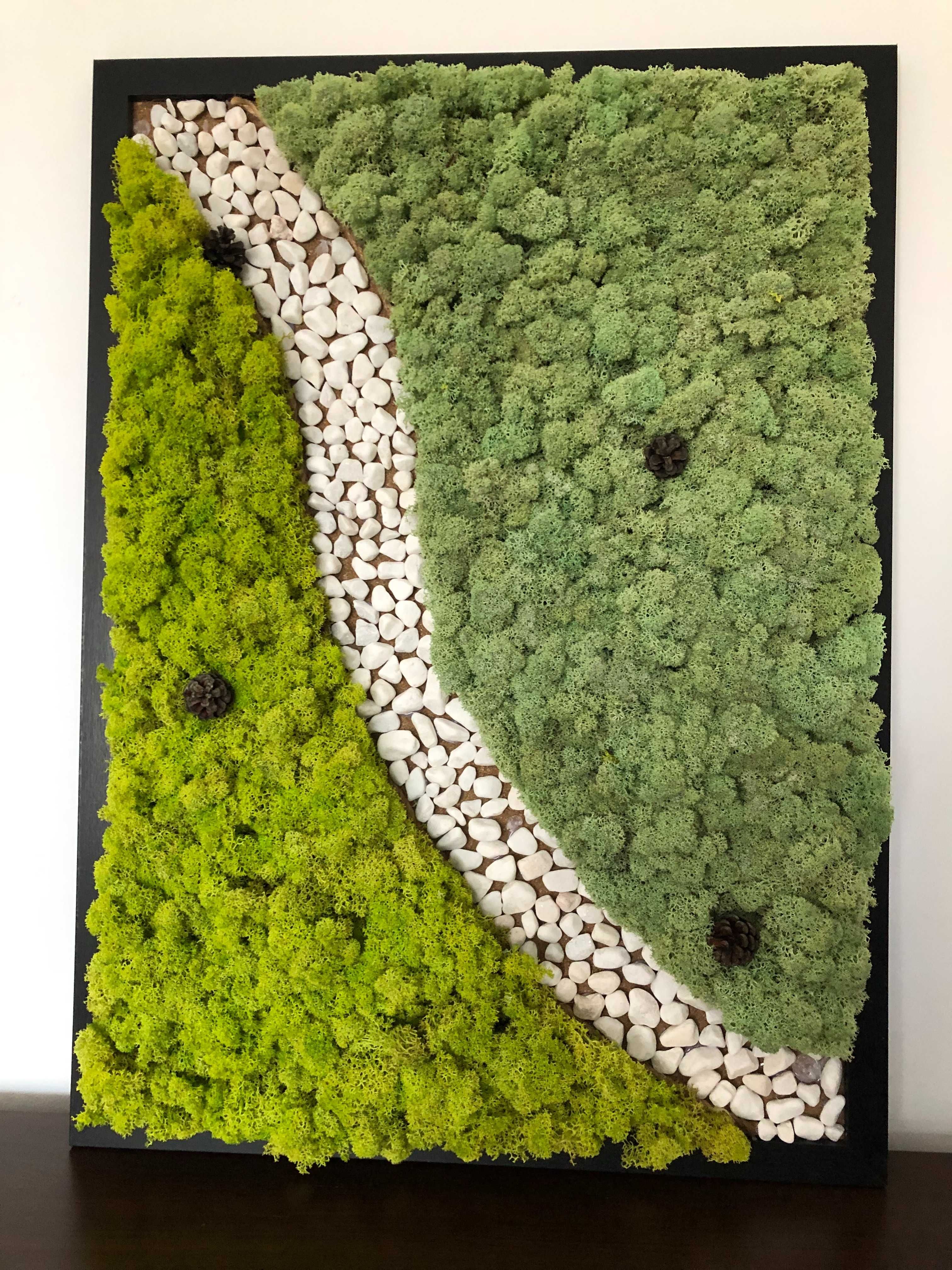 Vand tablouri cu licheni decorativi