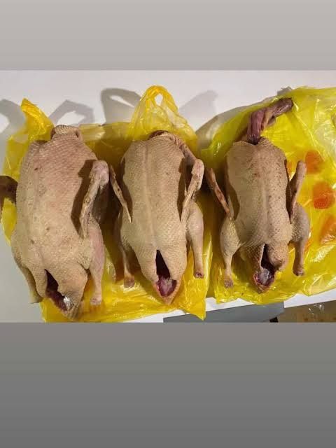 Продам тушки индоуток 2025 г молоденькие