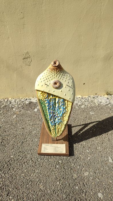 Macheta didactica din silicon "Distomum hepaticum"