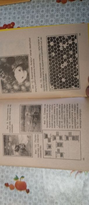 Календарен справочник по Пчеларство+Подарък  Наръч.млад.пчелар