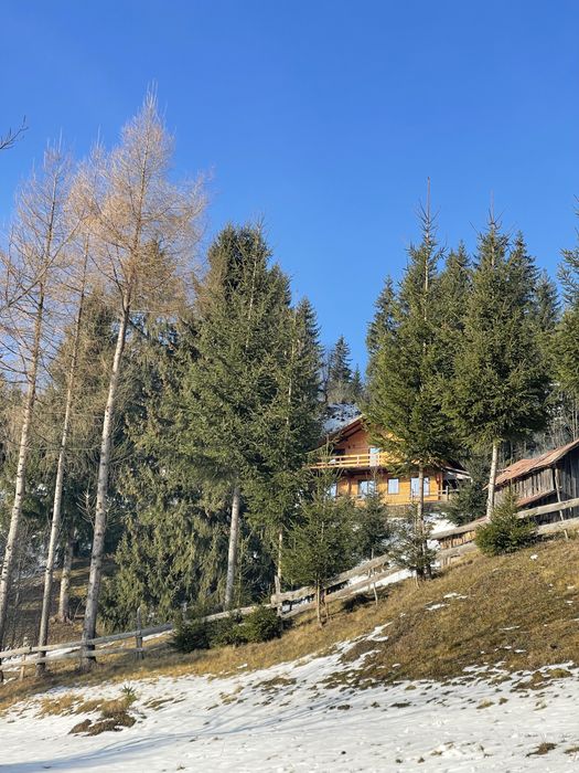 Cabana de inchiriat Borșa Maramureș