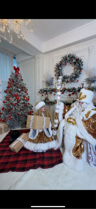 Дед Мороз, Снегурочка и новогодние персонажи