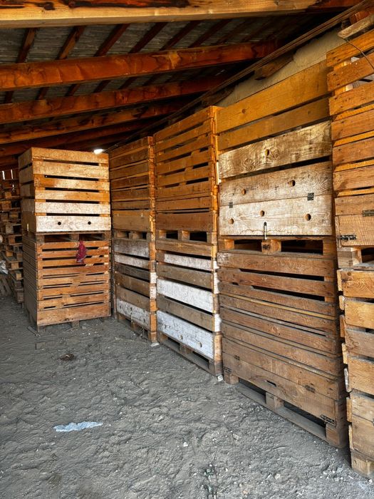 Lazi pentru cartofi,ceapa etc.