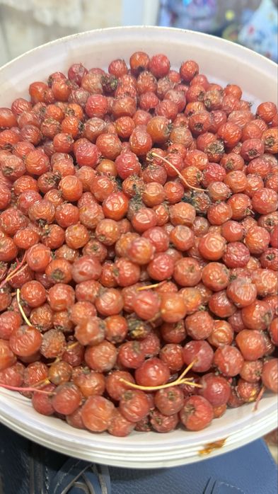 Боярышник дачный