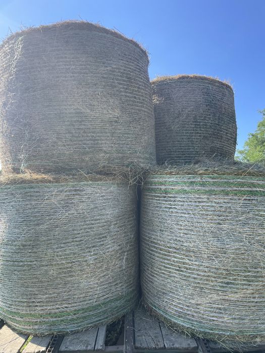 Balotți de fân,sparcetă,ovaz cu lucernă