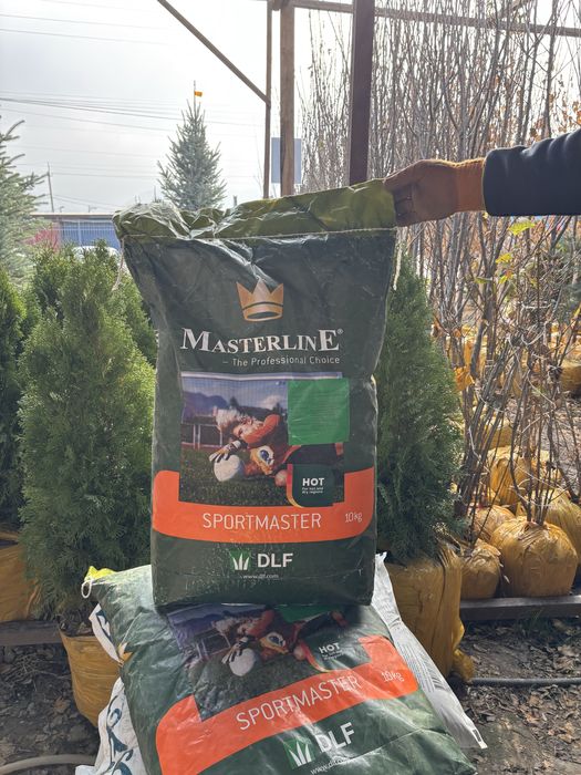 ОРИГИНАЛ Семена газона спортивная Посев газон