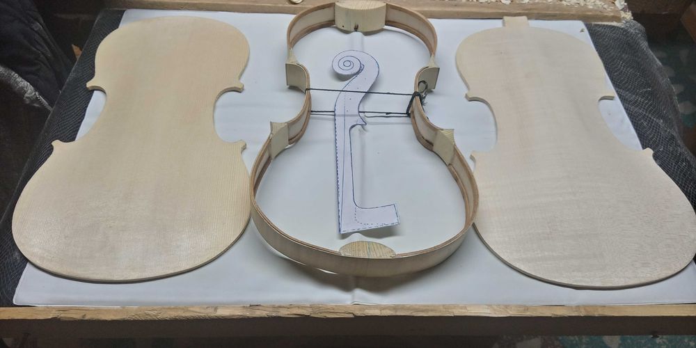 Instrumente muzicale ( viori , violoncel , contrabass .