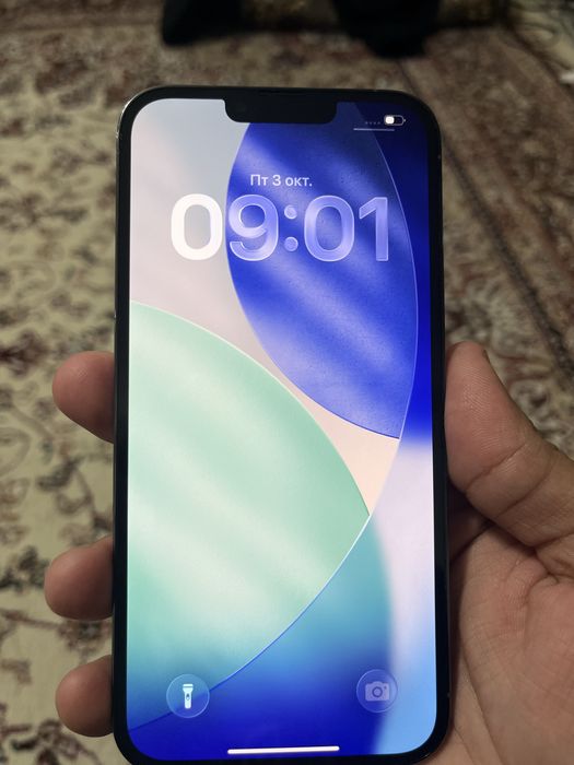 Iphone 13 pro max