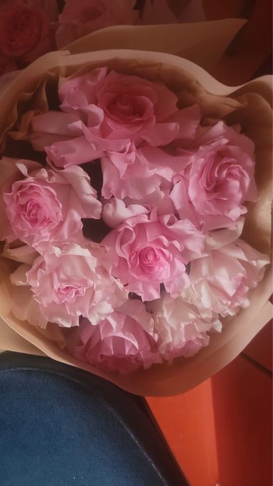 Цветы Туркестан Цветы