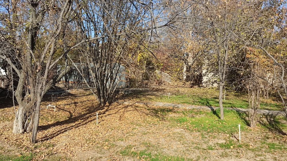 Продается дача в п.Навбахор, Паркентский район