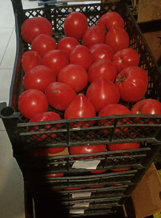 Продаю домашние помидоры "Бычье сердце" 2500 тенге за 1 кг.
Приглашаю