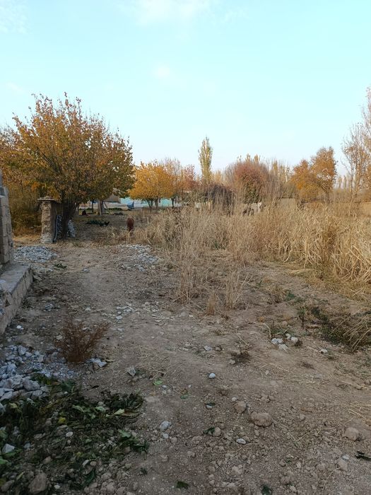 Shahrisabzdan Uchaska sotiladi