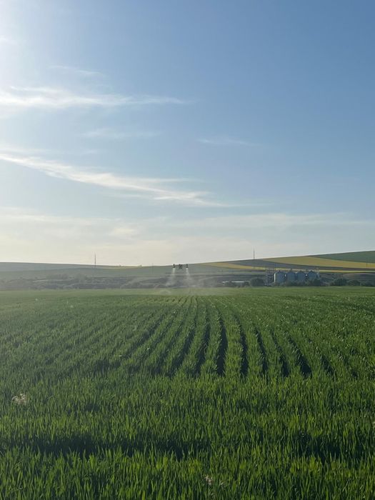 Servicii cu drona agricolă – Stropiri profesionale, rapid și eficient