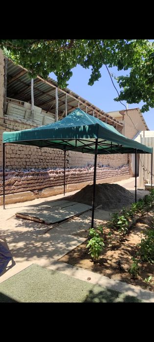 Zontik arendaga beriladi